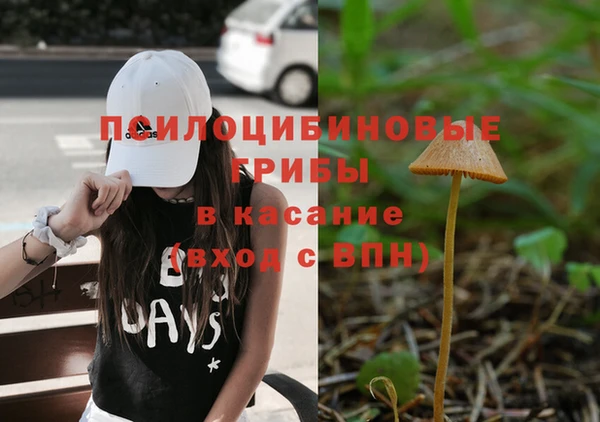 крисы Лихославль